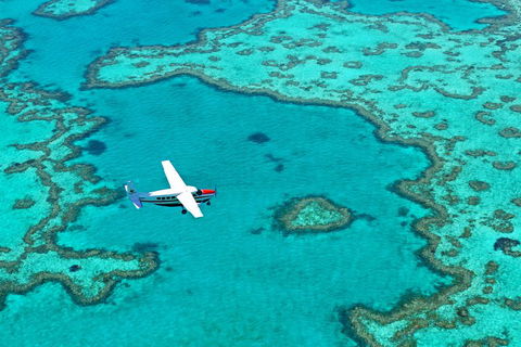 Reef And Island Scenic Flight From Airlie Beach - Accommodation China 4
