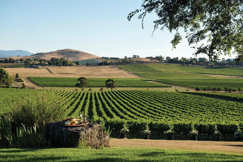 Small Group 6 Guests: Ultimate Yarra Valley Food And Wine - Mercedes Van - Accommodation Asia 4
