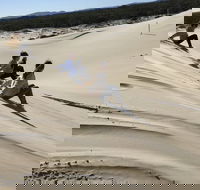Port Stephens Bush Beach and Sand Dune 4WD Tag-Along Tour - Accommodation China