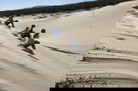 Port Stephens Bush Beach and Sand Dune 4WD Tag-Along Tour