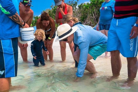 Whitehaven Beach And Hamilton Island Cruise - Accommodation Guide 1