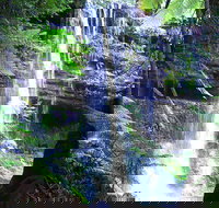 Mt Field National Park and Russell Falls from Hobart - Accommodation China