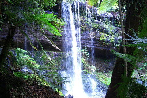Mt Field National Park And Russell Falls From Hobart - Accommodation Guide 0
