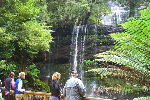 Mt Field National Park And Russell Falls From Hobart - Accommodation Guide 1