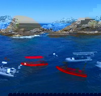 3-Hour Byron Bay Certified Scuba Diving Tour - Accommodation Guide