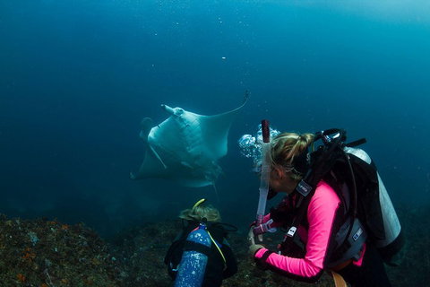 3-Hour Byron Bay Certified Scuba Diving Tour - Accommodation Guide 2