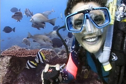 3-Hour Byron Bay Certified Scuba Diving Tour - Accommodation Guide 5