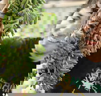 Small-Group Adelaide Central Market Early Breakfast Tour - Accommodation China