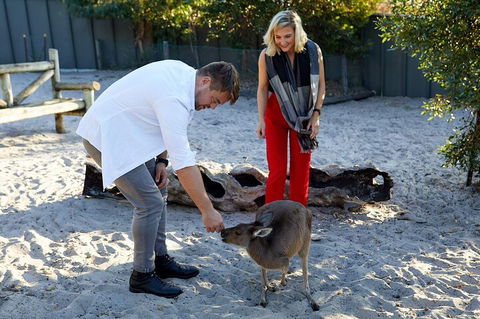 Albany's Whale Story - Accommodation China 1