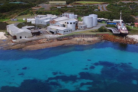 Albany's Whale Story - Accommodation China 4