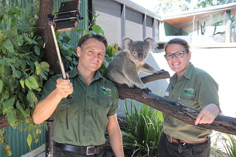 Virtual Interactive Australian Wildlife Tour With Private Guide-Wildlife Habitat - Accommodation Guide 0