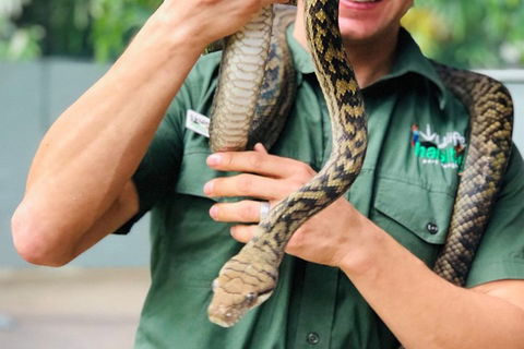 Virtual Interactive Australian Wildlife Tour With Private Guide-Wildlife Habitat - Accommodation Guide 1