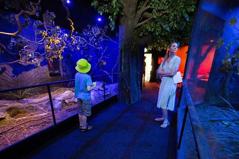 Wildlife Habitat Port Douglas - Accommodation Guide 4