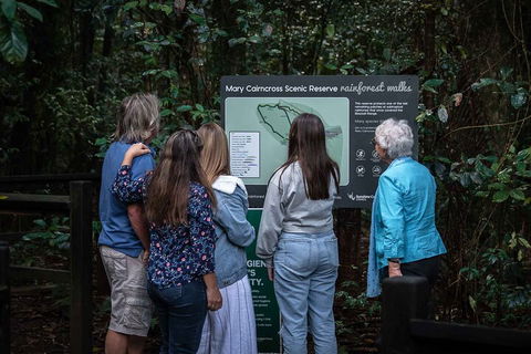 Sunshine Coast Hinterland And Noosa Day Trip From Brisbane Including Eumundi Markets And Ginger Factory - Accommodation Asia 0