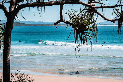 Sunshine Coast Hinterland And Noosa Day Trip From Brisbane Including Eumundi Markets And Ginger Factory - Accommodation Asia 5