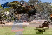 One Day Kangaroo Island Sip  See tour with return ferry transfers from Adelaide