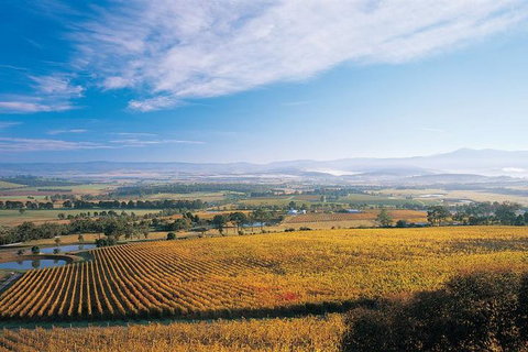 Melbourne City Tour And Half Day Yarra Valley In One Day - Accommodation Guide 5