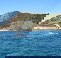 Kayaking with Dolphins in Byron Bay Guided Tour - Accommodation Guide