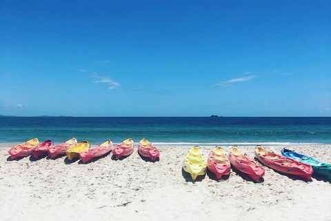 Kayaking With Dolphins In Byron Bay Guided Tour - Accommodation Asia 1