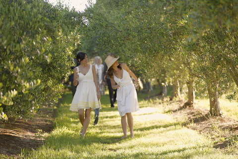 Yarra Valley Wine Tour With Local Harvest Tastings From Melbourne - Accommodation China 0