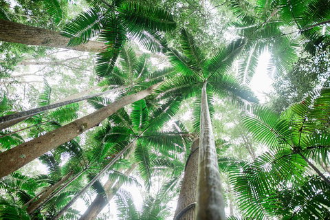 Fraser Explorer K'gari 2-Day Tour - Accommodation Asia 2