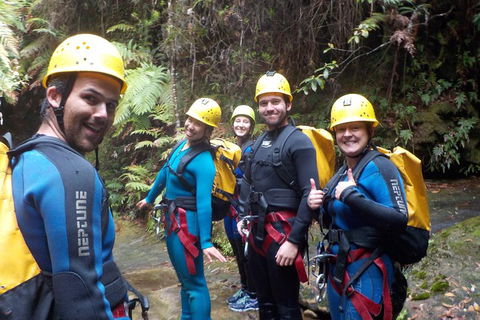 Full-Day Canyoning Experience At Stunning Empress Canyon - Accommodation Asia 1
