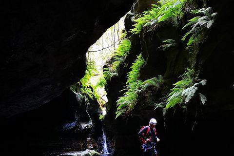 Full-Day Canyoning Experience At Stunning Empress Canyon - Accommodation Asia 2