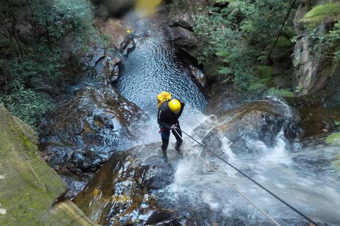 Full-Day Canyoning Experience At Stunning Empress Canyon - Accommodation Asia 4