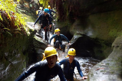 Full-Day Canyoning Experience At Stunning Empress Canyon - Accommodation Asia 5
