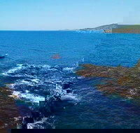 Julian Rocks Byron Bay Cruise - Accommodation Guide