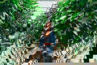 Yarra Valley Local Produce and Wine Tasting Tour, Marysville