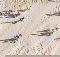 Unlimited Sandboarding - Accommodation China