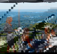 Sunshine Coast Hinterland Rainforest Views and Montville Day Tour Inc. Lunch - Accommodation China