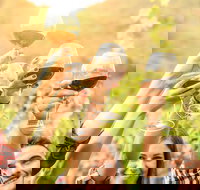 Adelaide Hills Day Tour. Winery Cellar Doors - Accommodation China