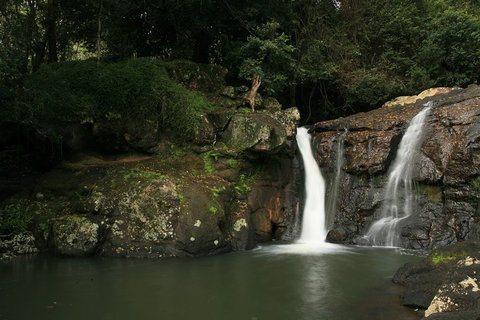 Hinterland Magic & Glow-worm Experience - Accommodation Guide 2