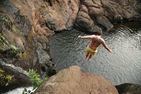 Hinterland Magic & Glow-worm Experience - Accommodation Guide 3