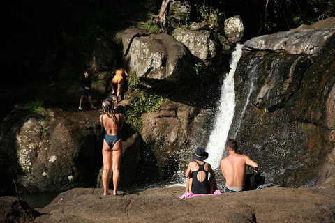 Hinterland Magic & Glow-worm Experience - Accommodation Guide 5