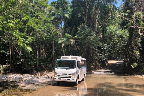 Cairns To Cooktown 4WD Tour - Accommodation Guide 5