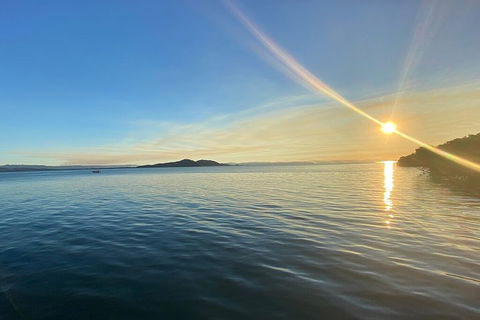 Aquascene Magnetic Island Discovery Tour - Accommodation Guide 0