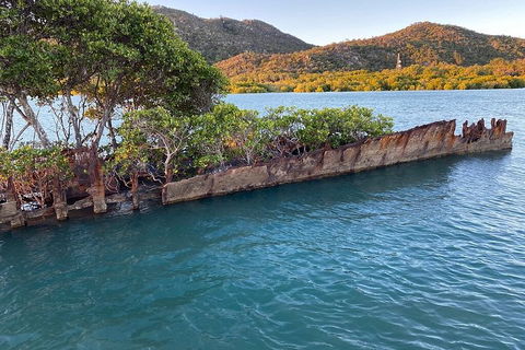 Aquascene Magnetic Island Discovery Tour - Accommodation Guide 3
