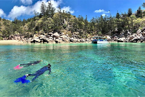 Aquascene Magnetic Island Discovery Tour - Accommodation Guide 4