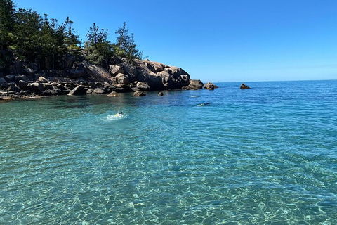 Aquascene Magnetic Island Discovery Tour - Accommodation Guide 5