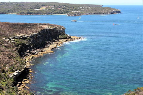 Half Day Manly Beach And More - Accommodation Guide 0