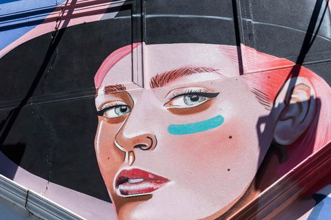 Adelaide 90-Minute Pedicab Tour: Street Art Experience - Accommodation Guide 1