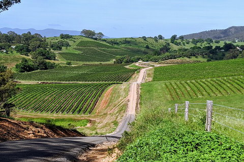 The Complete Hunter Valley Wine Tour Of Pokolbin, Mt View, Lovedale And Rothbury - Accommodation Asia 0