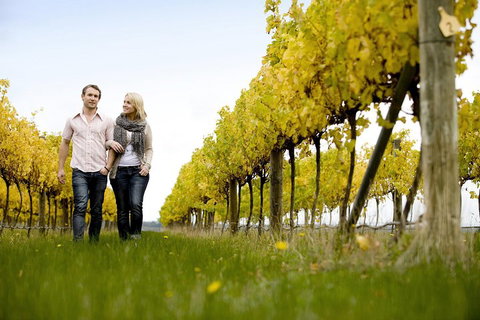 Overnight Daylesford And Macedon Ranges Gourmet Food Trail Tour From Melbourne - Accommodation Guide 2