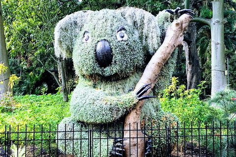Discover Sydney - Botanic - Accommodation Guide 1