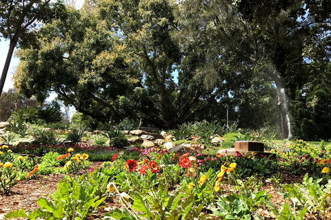 Discover Sydney - Botanic - Accommodation Guide 3