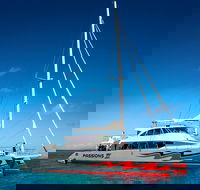 Passions of Paradise Great Barrier Reef Snorkel and Dive Cruise from Cairns by Luxury Catamaran - Accommodation Asia