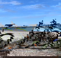 Adelaide City to Sea Bike Tour - Accommodation China